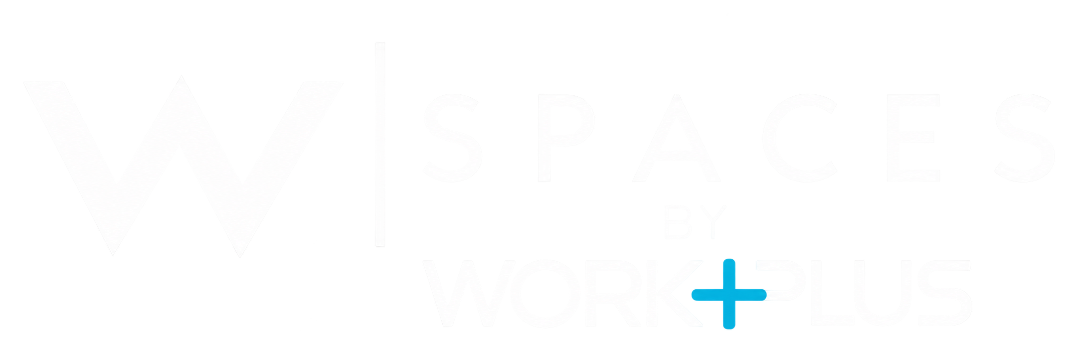 W Spaces by Workplus